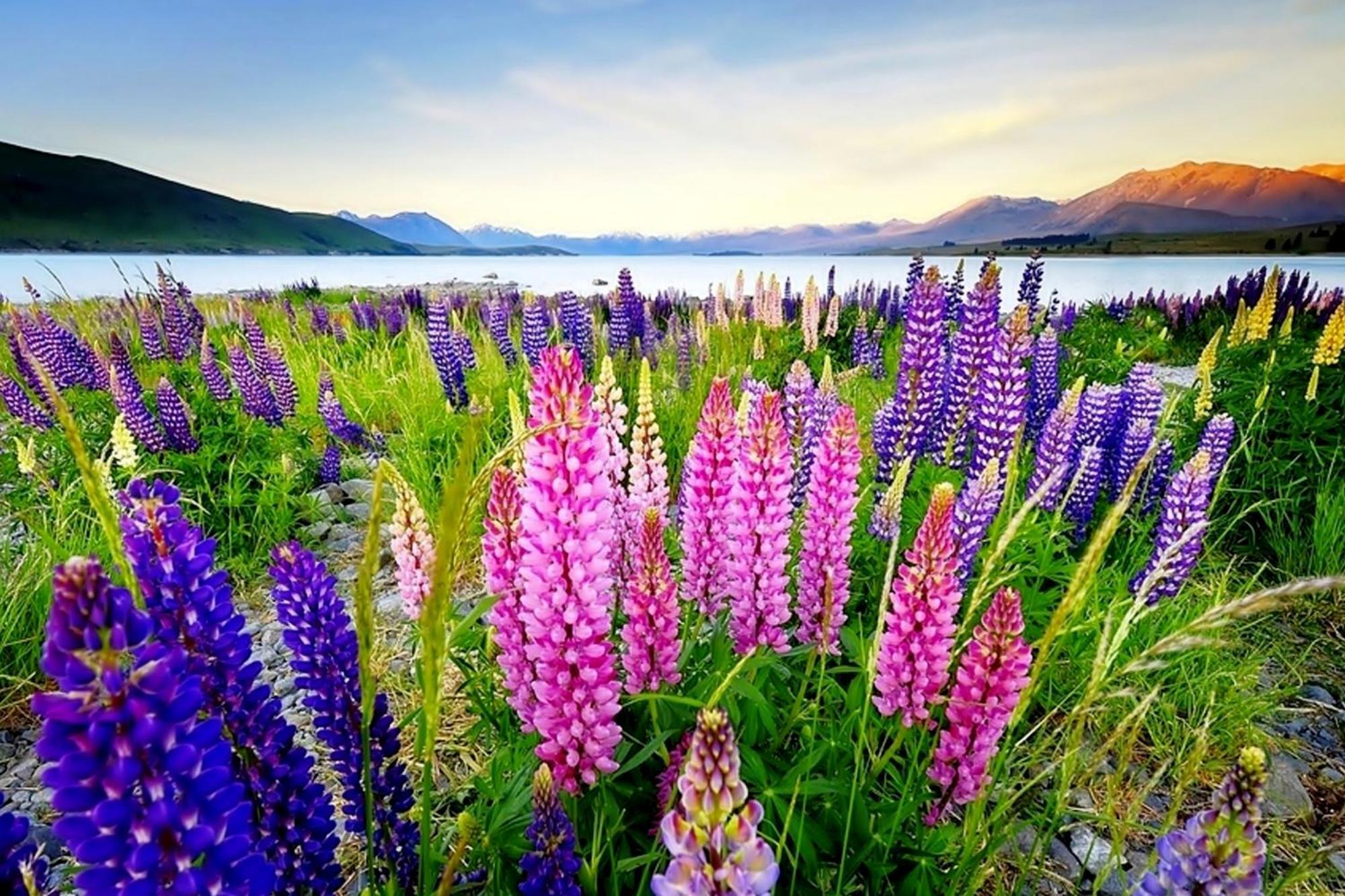 Tekapo1929 Lakefront Villa Lake Tekapo Esterno foto