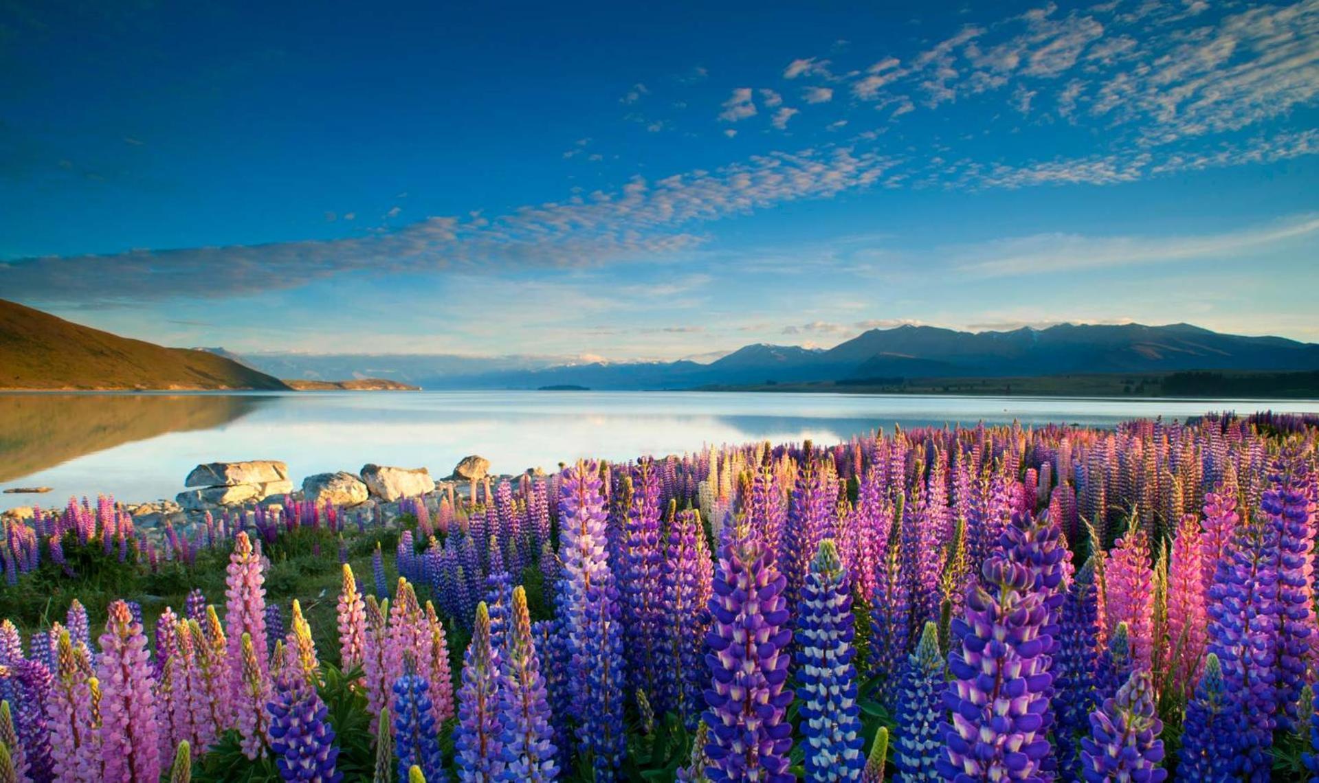 Tekapo1929 Lakefront Villa Lake Tekapo Esterno foto