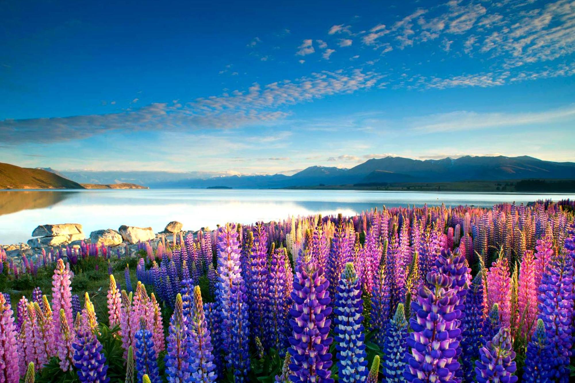 Tekapo1929 Lakefront Villa Lake Tekapo Esterno foto